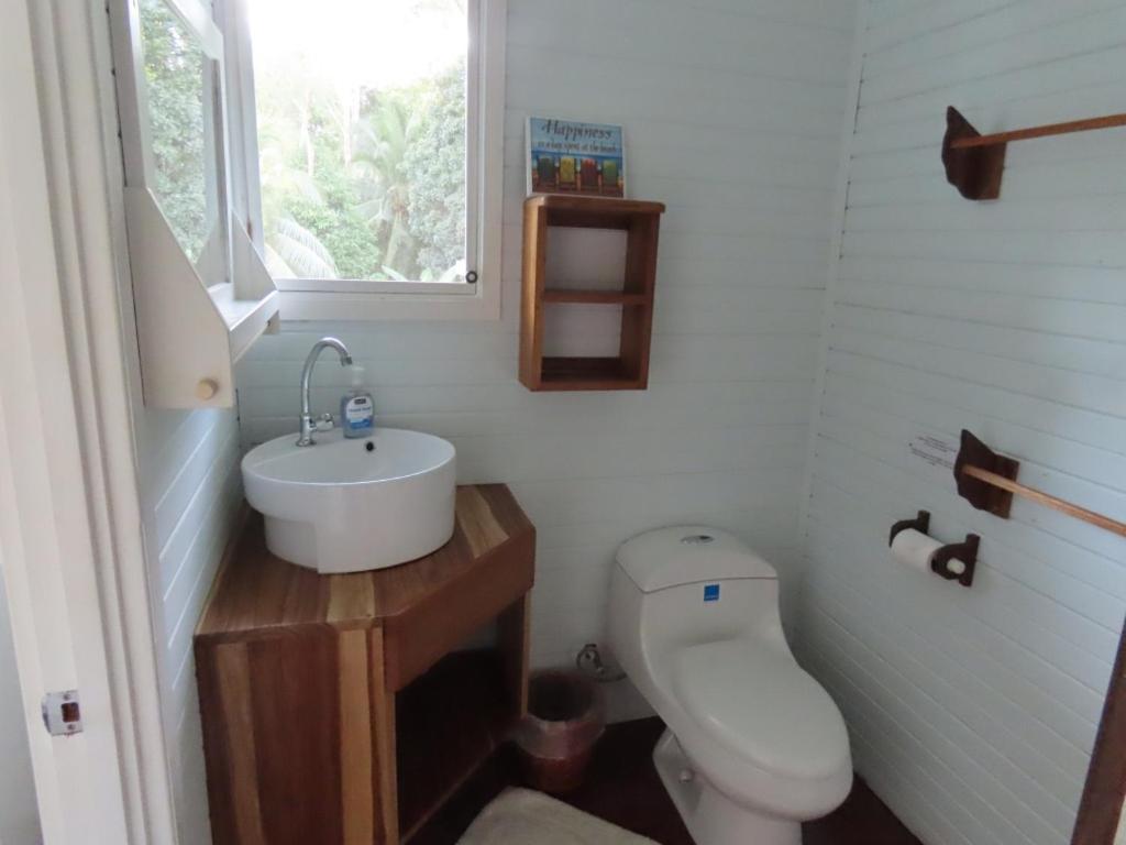 בוקס דל טורו Sand Dollar Beach Bed & Breakfast מראה חיצוני תמונה